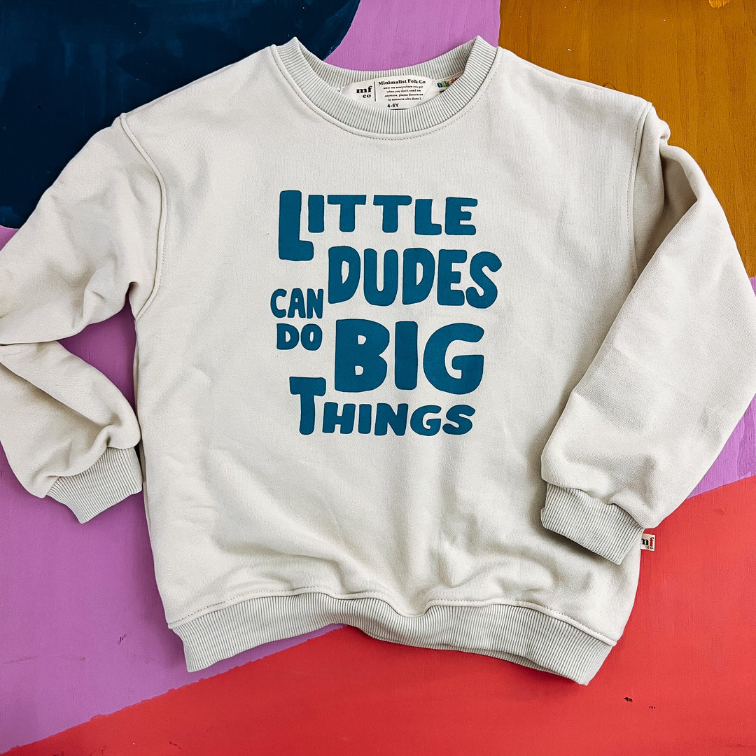Little dudes big things pullover